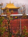 Monkey and monastery.